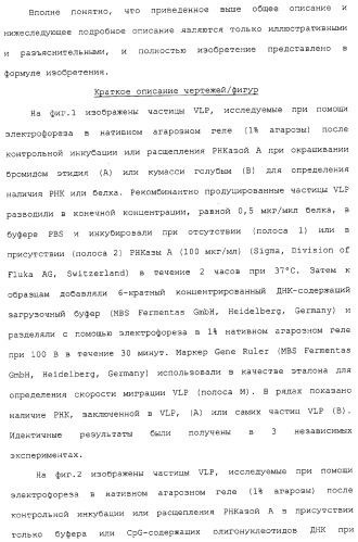 Композиции, содержащие cpg-олигонуклеотиды и вирусоподобные частицы, для применения в качестве адъювантов (патент 2322257)