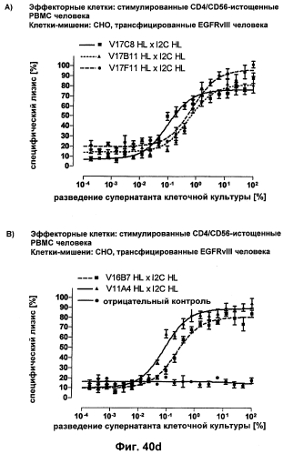 Cd3-эпсилон-связывающий домен с межвидовой специфичностью (патент 2561457)