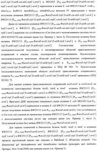 Способ конструирования оперонов, содержащих трансляционно сопряженные гены (патент 2411292)