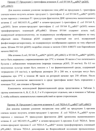 Способ получения l-аминокислоты с использованием бактерии, принадлежащей к роду escherichia (патент 2395579)