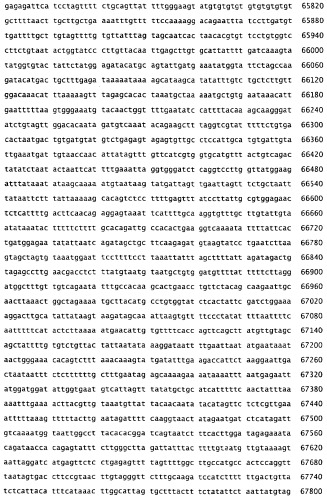 Применение s1p (патент 2362565)