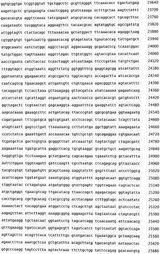 Бактериофаг, обладающий активностью против pseudomonas aeruginosa, белки бактериофага и способы их применения (патент 2580248)