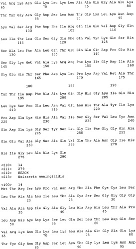 Гибридная и тандемная экспрессия белков нейссерий (патент 2339646)