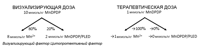 Фармацевтические композиции и терапевтические способы, в которых применяется комбинация комплексного соединения марганца и соединения в форме, не являющейся марганцевым комплексом (патент 2563825)