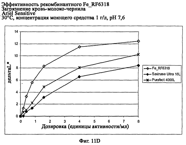 Новая протеаза грибов и ее применение (патент 2566549)