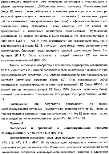 Полинуклеотидная последовательность, кодирующая полипептид вируса папилломы человека, ее применение, а также содержащие ее вектор и фармацевтическая композиция (патент 2354701)