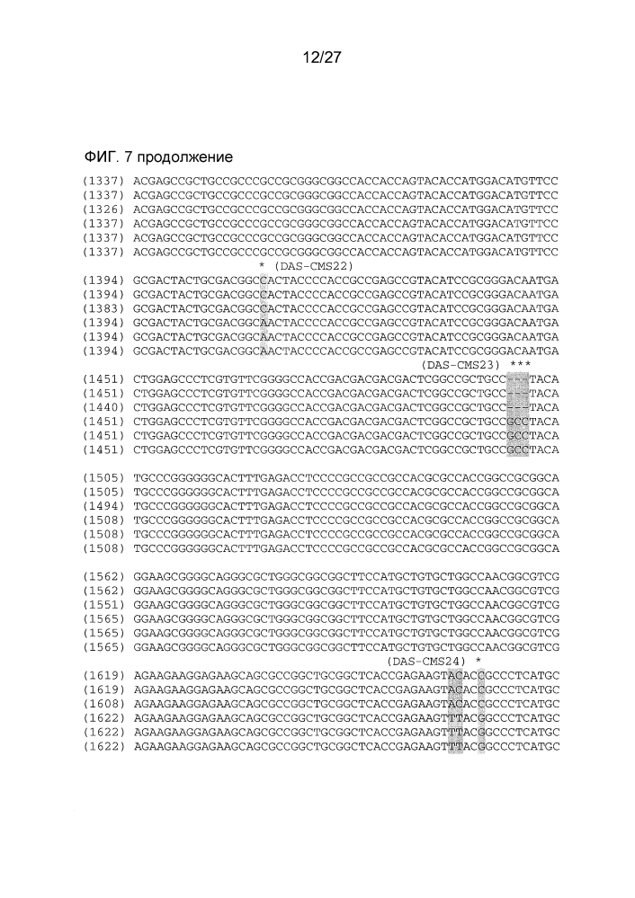 Ген-восстановитель rf4 для цитоплазматической мужской стерильности (cms) c-типа кукурузы, молекулярные маркеры и их применение (патент 2603005)