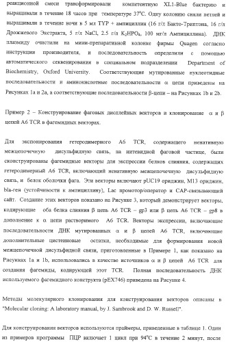 Экспонирование т-клеточных рецепторов (патент 2346004)