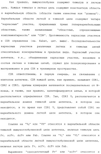 Scfv против egfrviii с улучшенной цитотоксичностью и выходом, иммунотоксины на их основе и способы их применения (патент 2317999)
