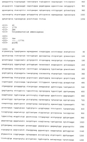 Микроорганизмы corynebacterium с повышенной продукцией 5&#39;- инозиновой кислоты и способ получения нуклеиновых кислот с их использованием (патент 2482178)