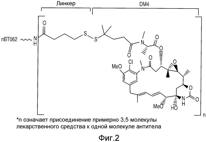 Способы улучшения направленного воздействия на cd138-экспрессирующие опухолевые клетки и агенты для их осуществления (патент 2486203)