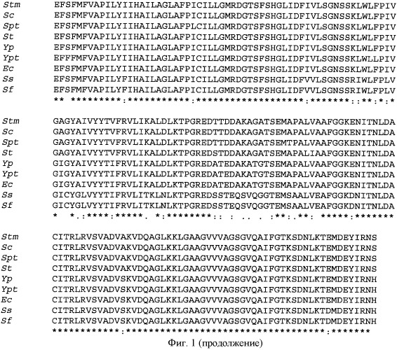 Мутантная iib/iic субъединица глюкозоспецифической пермеазы системы pts, фрагмент днк, бактерия, принадлежащая к роду escherichia, - продуцент l-треонина и способ получения l-треонина (патент 2335536)