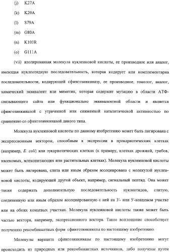 Сфингозинкиназа (варианты), нуклеиновая кислота, ее кодирующая (варианты), и их применение (патент 2326945)