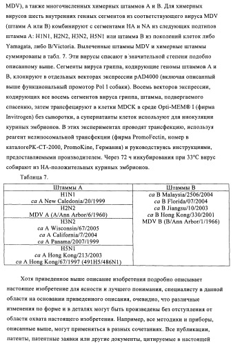 Способы и композиции для экспрессии антисмысловой вирусной рнк в клетках собаки (патент 2457250)