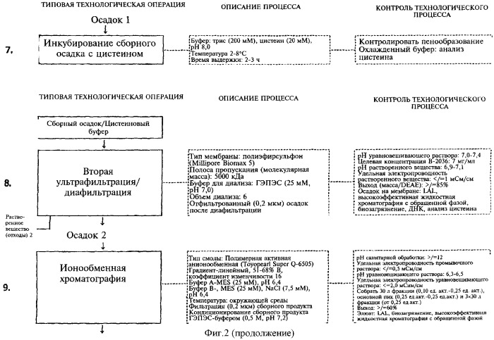 Способ получения рекомбинантного полипептида-антагониста соматотропного гормона со сниженным содержанием изоформных примесей (варианты) (патент 2337920)