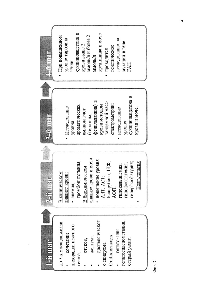 Способ пошаговой диагностики наследственной тирозинемии 1 типа у детей (патент 2627647)