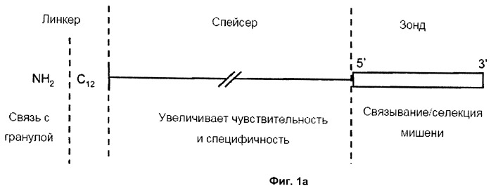 Зонд и набор (варианты) для детекции целевой нуклеиновой кислоты, спейсер, подходящий для присоединения к специфической к мишени последовательности зонда и способ детекции любого взаимодействия между зондом и целевой нуклеиновой кислотой (патент 2461626)