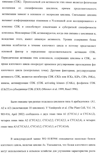 Растения с повышенной урожайностью и способ их получения (патент 2377306)