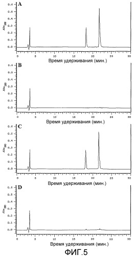 Фармацевтическая композиция в виде микросфер для профилактики ампутации конечностей при диабете (патент 2426528)