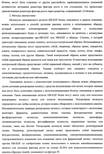 Белки, связывающие антиген фактор роста, подобный гепаринсвязывающему эпидермальному фактору роста (патент 2504551)