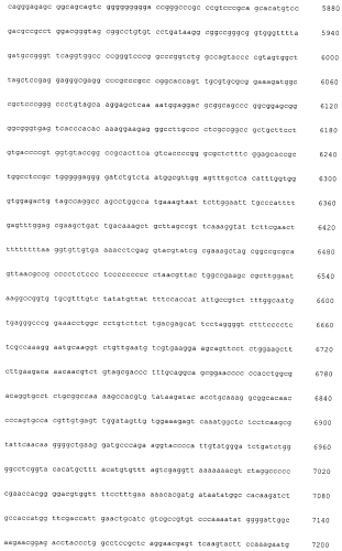Плазмида для экспрессии в клетках сно рекомбинантного фолликулостимулирующего гормона (фсг) человека, плазмида для экспрессии в клетках сно бета-субъединицы рекомбинантного фсг человека, клетка сно - продуцент рекомбинантного фсг человека и способ получения указанного гормона (патент 2560596)