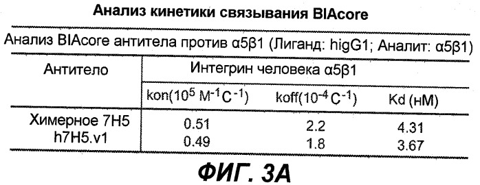 Новые антитела (патент 2490277)