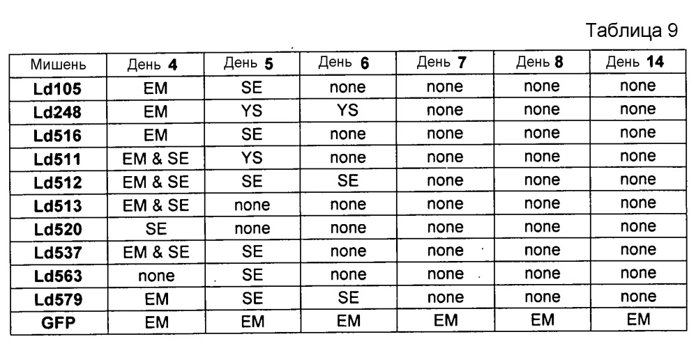 Уменьшение экспрессии генов у насекомых-вредителей (патент 2662995)