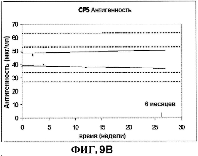 Стабильные иммуногенные композиции антигенов staphylococcus aureus (патент 2570730)