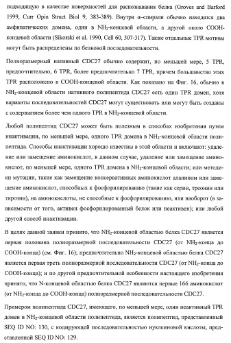 Растения, имеющие улучшенные характеристики роста, и способы их получения (патент 2463352)