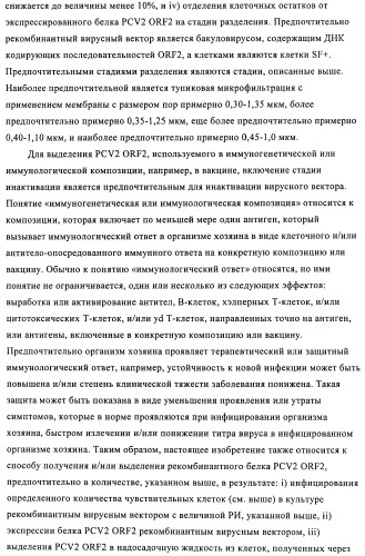 Поливалентные иммуногенные композиции pcv2 и способы получения таких композиций (патент 2488407)