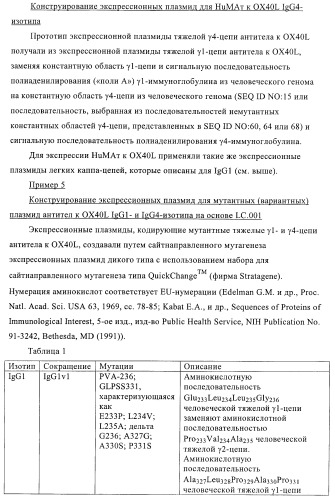 Антитела к ох40l (патент 2395523)