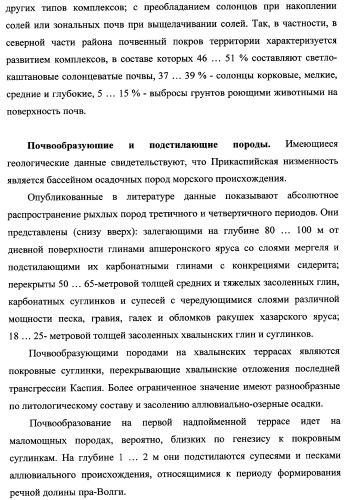 Способ прогнозирования семенной продуктивности солодки голой и солодки уральской сухостепного, лиманного и пойменного экотипов (патент 2360403)