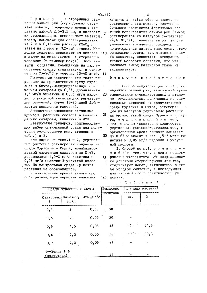 Способ получения растений-регенерантов озимой ржи (патент 1495372)