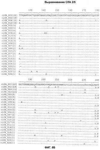 Иммуногенные композиции антигенов staphylococcus aureus (патент 2536981)