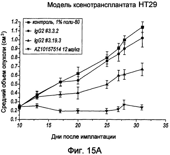 Антитела против ангиопоэтина-2 и их применение (патент 2394839)