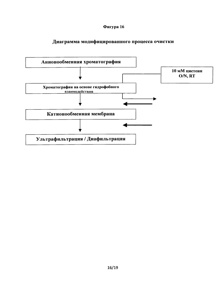 Очистка ингибитора альфа1 протеиназы, полученного из культуры клеток (патент 2617960)