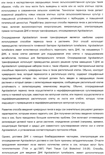 Улучшенная трансформация сои (патент 2389797)