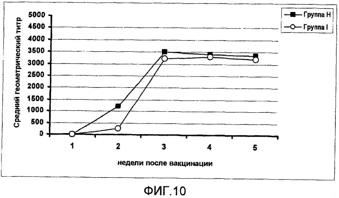 Химерные вакцинные антигены против вируса классической чумы свиней (патент 2406534)