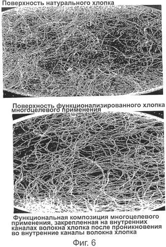 Функционализированный хлопок многоцелевого применения и способ его производства (патент 2574658)