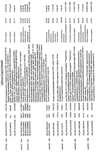 Гены corynebacterium glutamicum, кодирующие белки, участвующие в синтезе мембран и мембранном транспорте (патент 2312145)