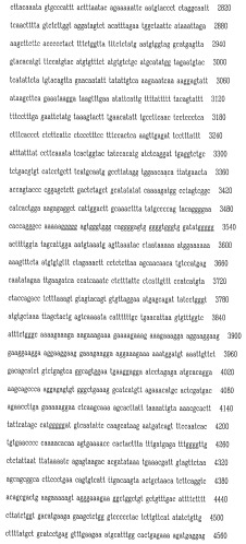Экспрессионная система для повышения уровня экспрессии гена, молекула нуклеиновой кислоты, клетка, трансгенное животное и набор (патент 2469089)