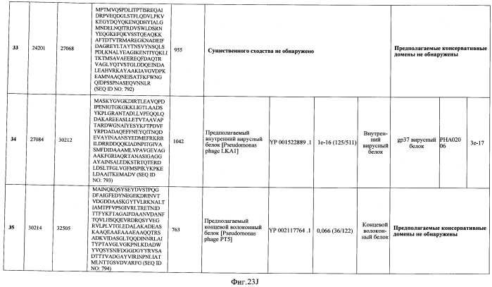 Бактериофаг, обладающий активностью против pseudomonas aeruginosa, белки бактериофага и способы их применения (патент 2580248)