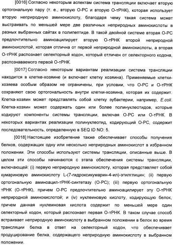 Генетически кодируемые флюоресцентные кумариновые аминокислоты (патент 2473690)