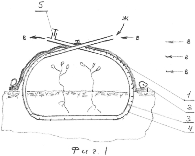 Подземный парник девяткина в.д. (патент 2554389)