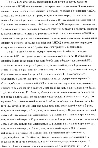 Стабилизированные антитела против ангиопоэтина-2 и их применение (патент 2509085)