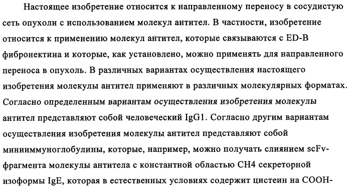 Избирательный направленный перенос в сосудистую сеть опухоли с использованием молекул антител (патент 2347787)