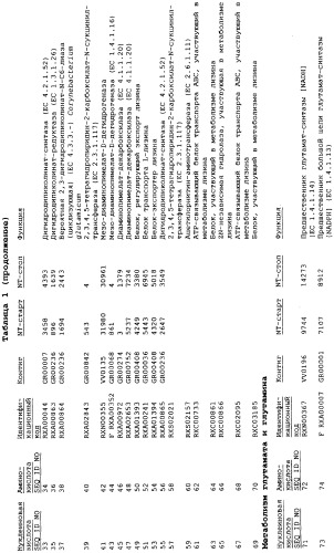 Гены corynebacterium glutamicum, кодирующие белки метаболических путей (патент 2306339)