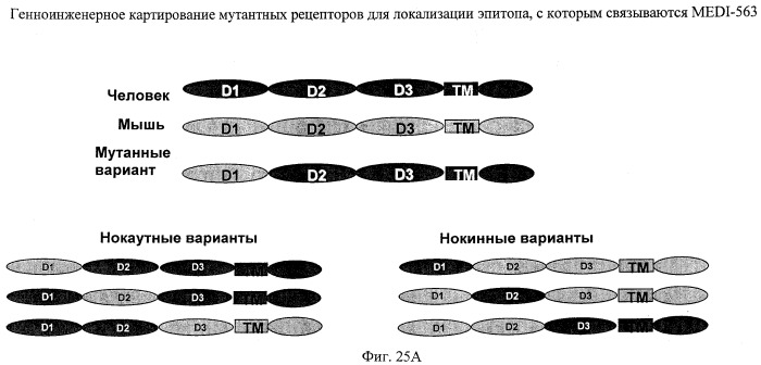 Способы снижения числа эозинофилов (патент 2519227)