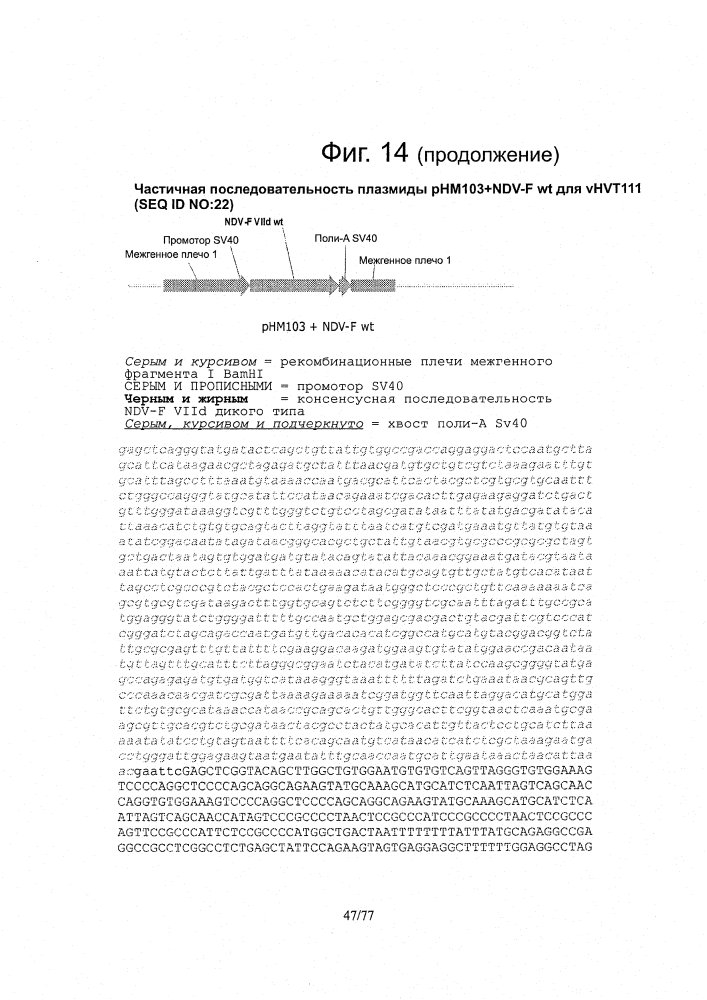 Рекомбинантные векторы hvt, экспрессирующие антигены патогенов птиц и их применение (патент 2620936)