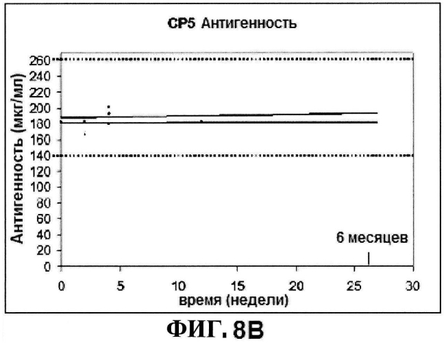 Стабильные иммуногенные композиции антигенов staphylococcus aureus (патент 2570730)